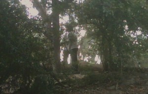 Another-man-lurking-at-Santiago-Park-300x191.jpg