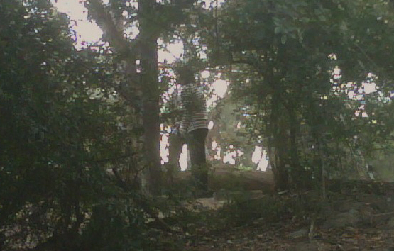 Another man lurking at Santiago Park