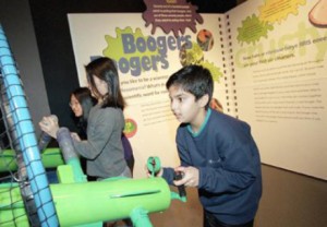 Grossology