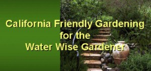 Friendly Landscaping