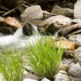 Reconnect Nature writing workshops in Santa Ana on Sep. 3 and 4 Reconnect Nature, the nature writing workshops, will take place in three specific areas of Santa Ana: 4-6pm Friday, Sept. 3 - downtown in Sasser Park (Santa Blvd. & Ross St.)...