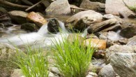 Reconnect Nature writing workshops in Santa Ana on Sep. 3 and 4 Reconnect Nature, the nature writing workshops, will take place in three specific areas of Santa Ana: 4-6pm Friday, Sept. 3 - downtown in Sasser Park (Santa Blvd. & Ross St.)...