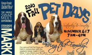 Fall Pet Days