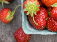 Great Park Strawberries
