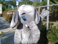 Elephant Peta Protest