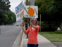 Save the Sexlinger Orchard
