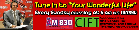 New Andy Radio Ad