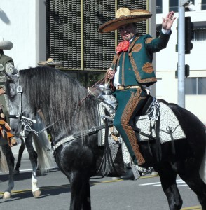 Vaquero at the Fiestas Patrias parade