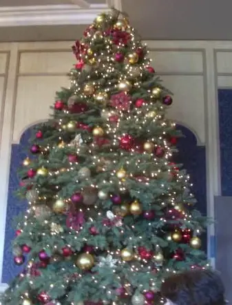 Christmas Tree