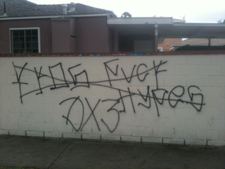 Santa Ana Gangs