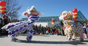 Chinese new year parade