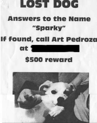 Lost dog flier