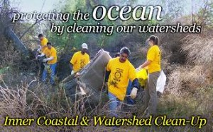 Watershed cleanup