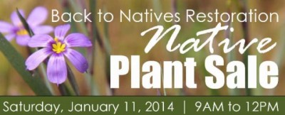 Back to Natives Native Plant Sale