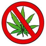 Ban Marijuana Dispensaries in Santa Ana
