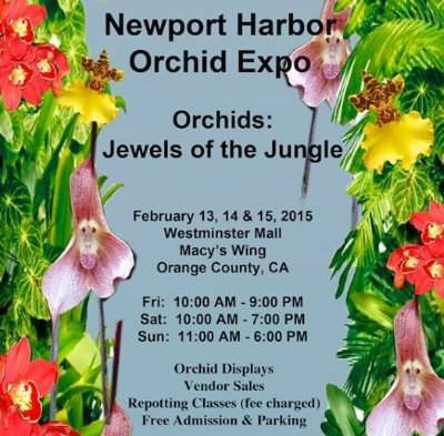 Orchid expo at Westminster Mall