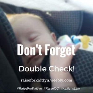 Don't Forget, Double Check