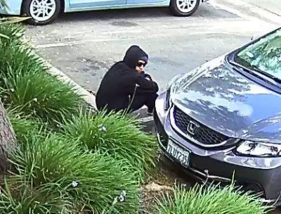 Santa Ana Marijuana Dispensary robber