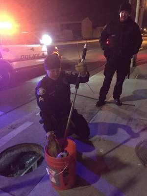 Santa Ana School Police save a dog