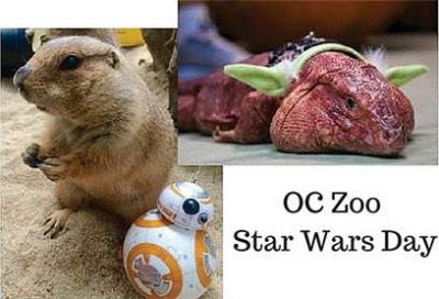 Star Wars Day at the OC Zoo