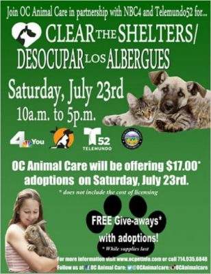 Clear the Shelters