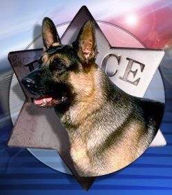 Santa Ana Police Dog News