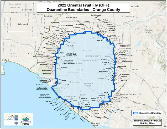 Oriental Fruit Fly quarantine set in portion of Orange County