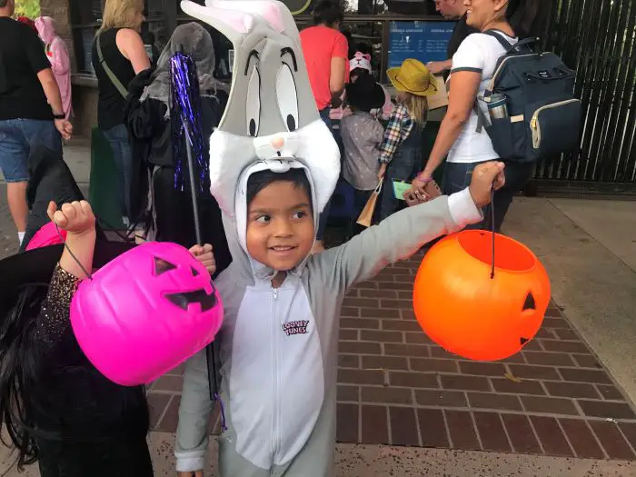 It’s Boo Time again at the Santa Ana Zoo!