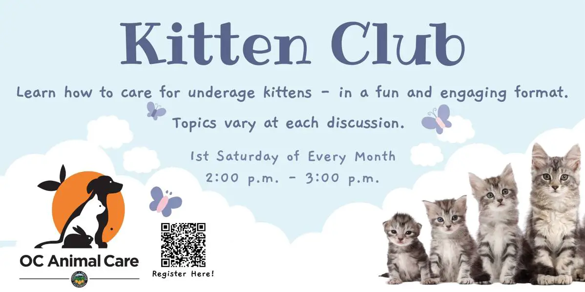 OC Animal Care is launching new summer programs in July New Santa Ana