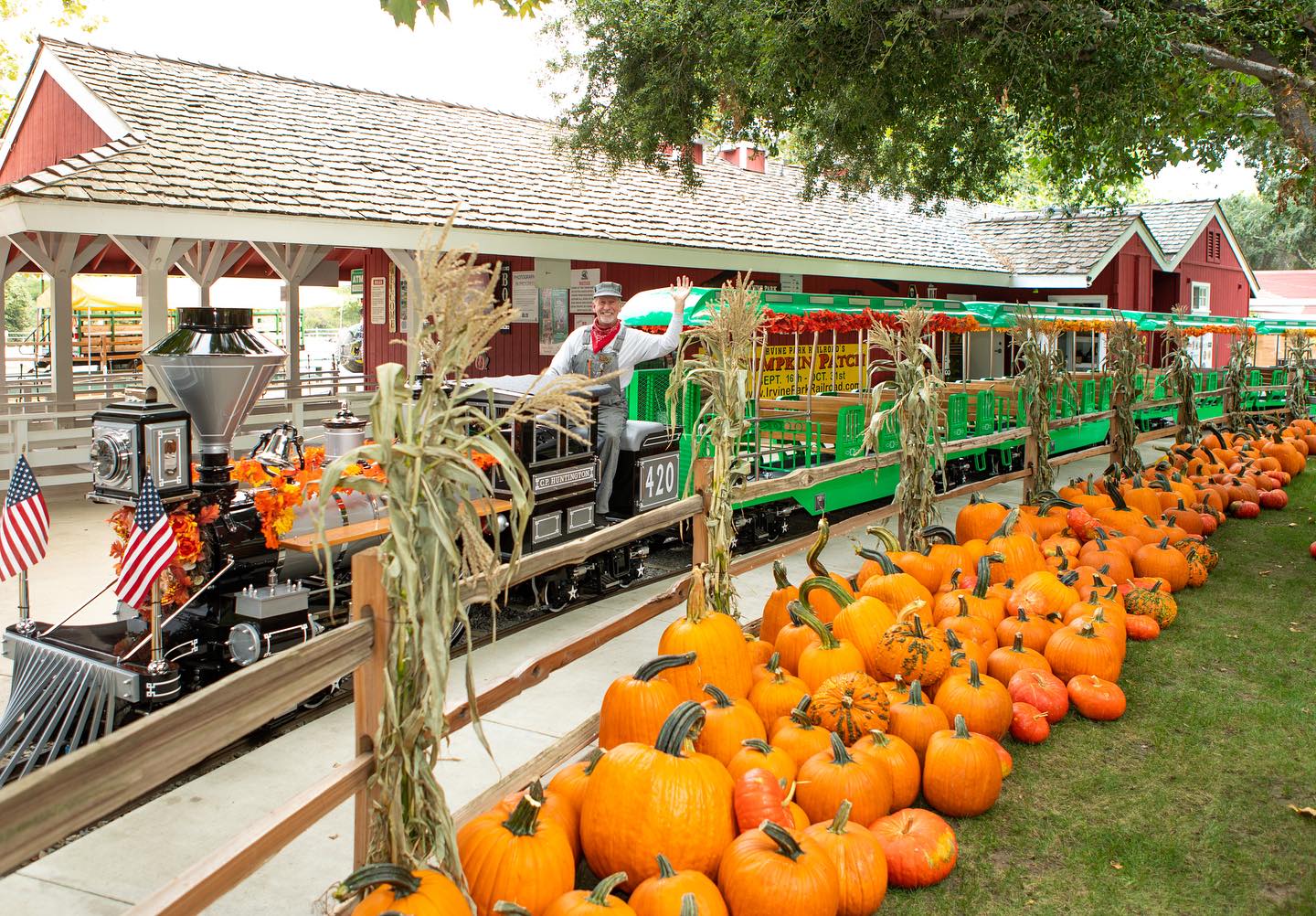 The Irvine Park Pumpkin Patch is now open New Santa Ana