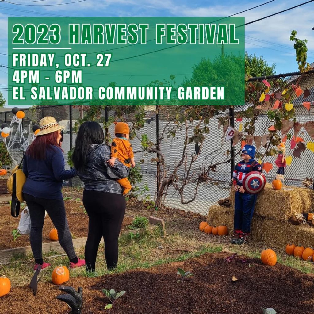 6th annual Harvest Festival set for Oct. 27 at El Salvador Park - New