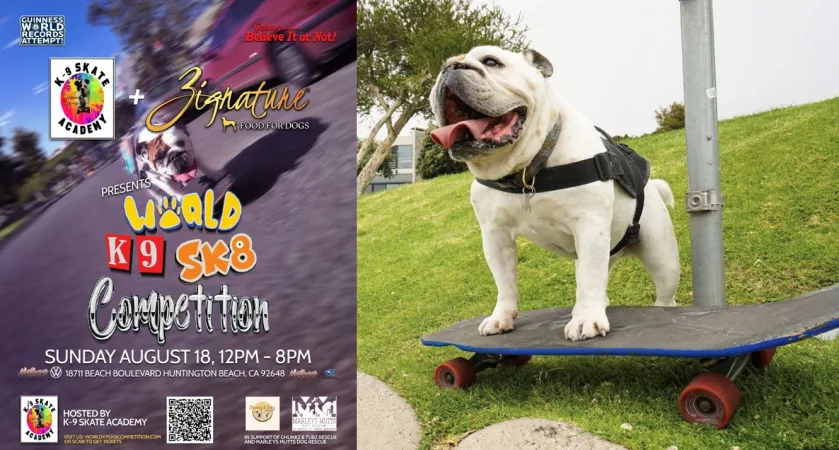 Orange County K-9 Skateboarding Competition set for August 18