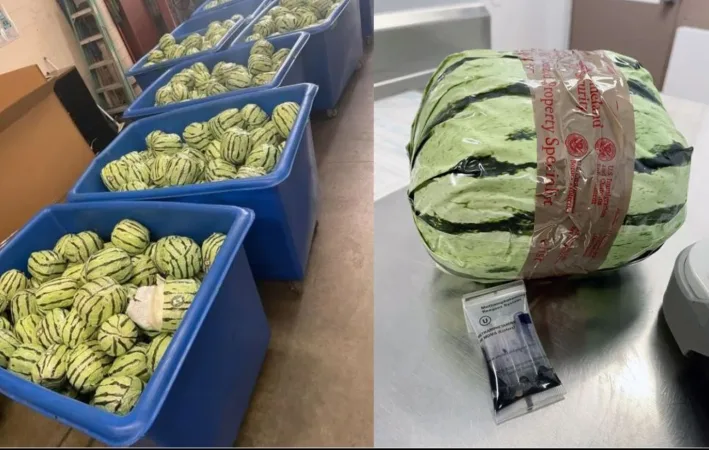 M worth of meth hidden in fake watermelons in San Diego