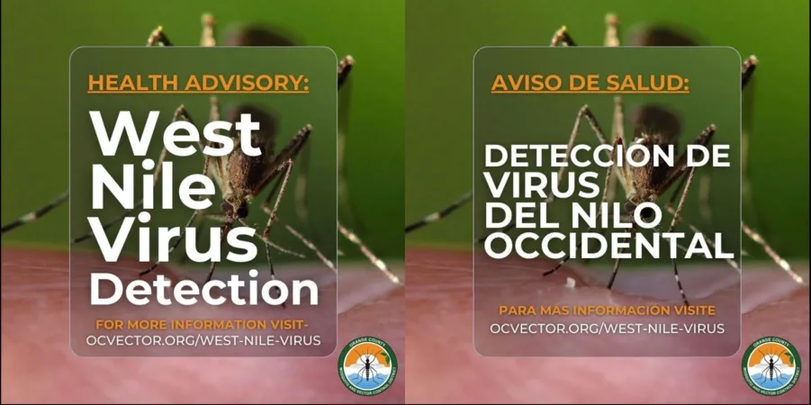 First West Nile Virus positive mosquitoes confirmed in Santa Ana