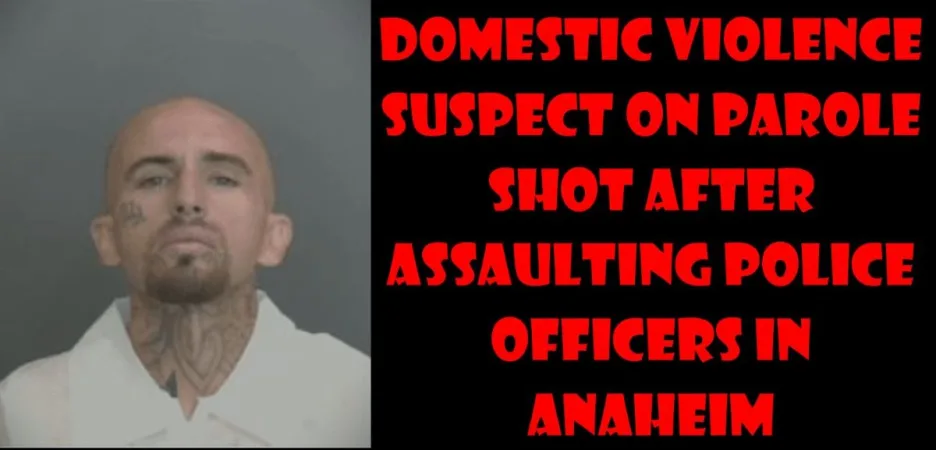 Domestic violence suspect on parole shot after assaulting police officers in Anaheim