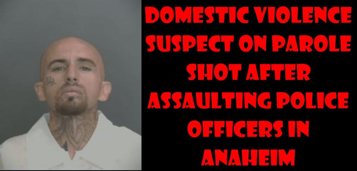 Domestic violence suspect on parole shot after assaulting police ...