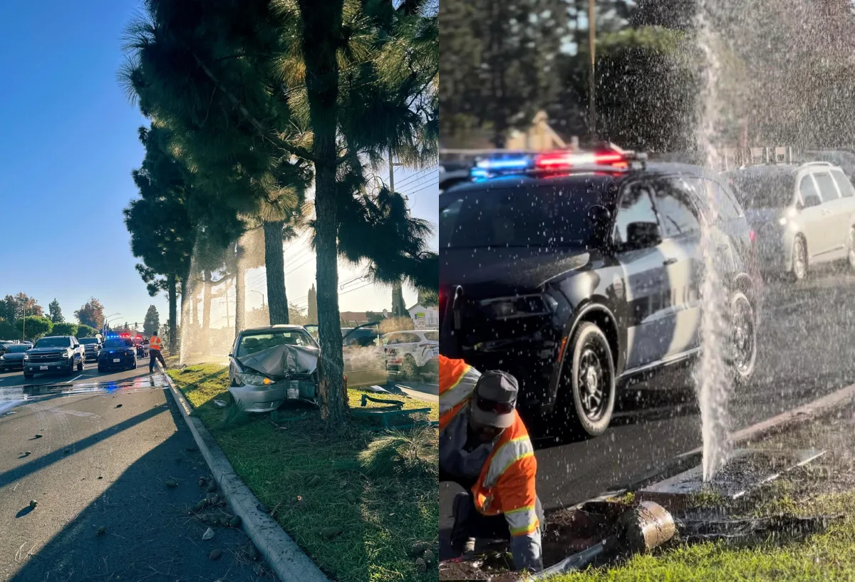 A driver crashed into a tree in Fountain Valley