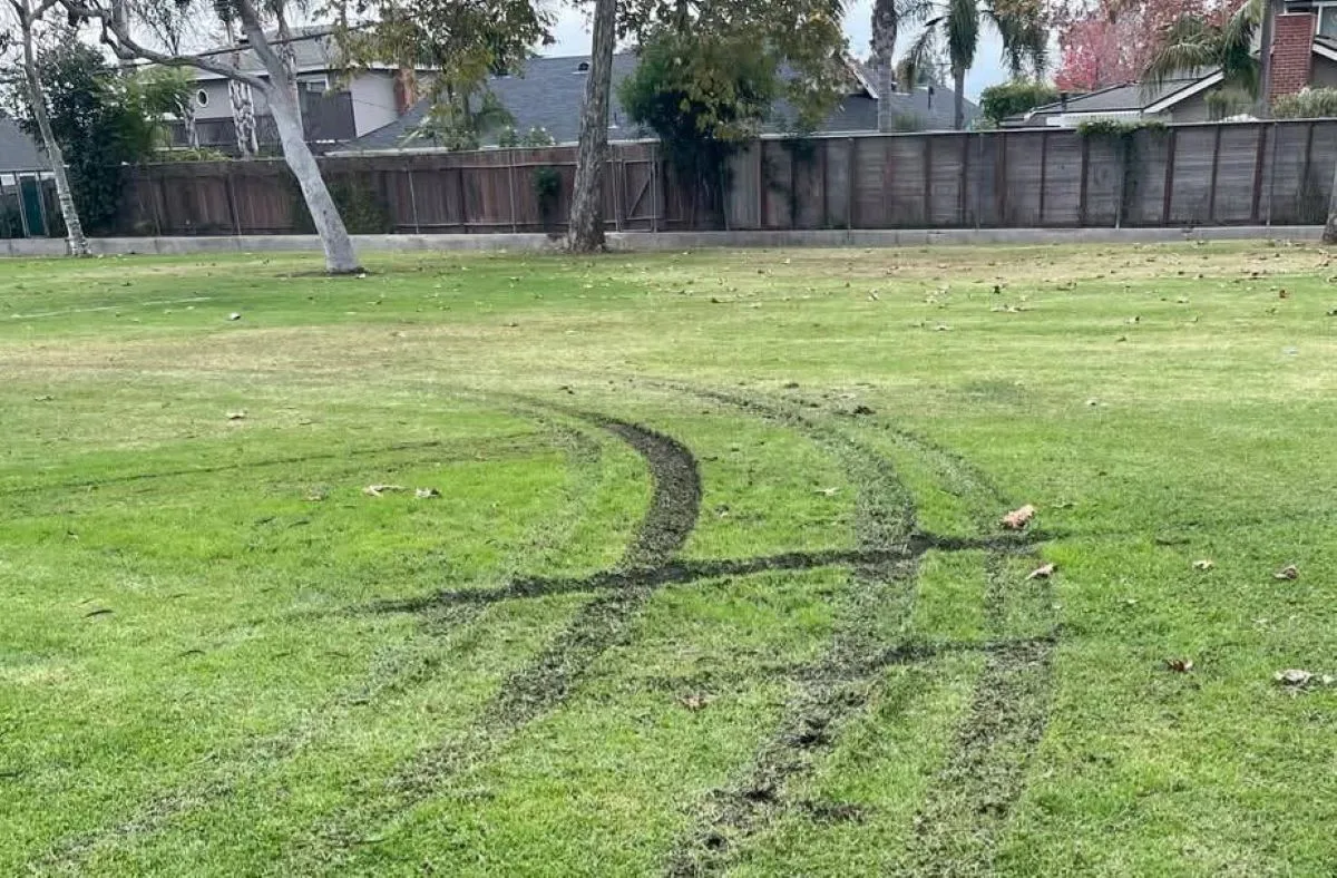 Driver arrested for destroying the lawn of a Costa Mesa park while doing donuts with his vehicle