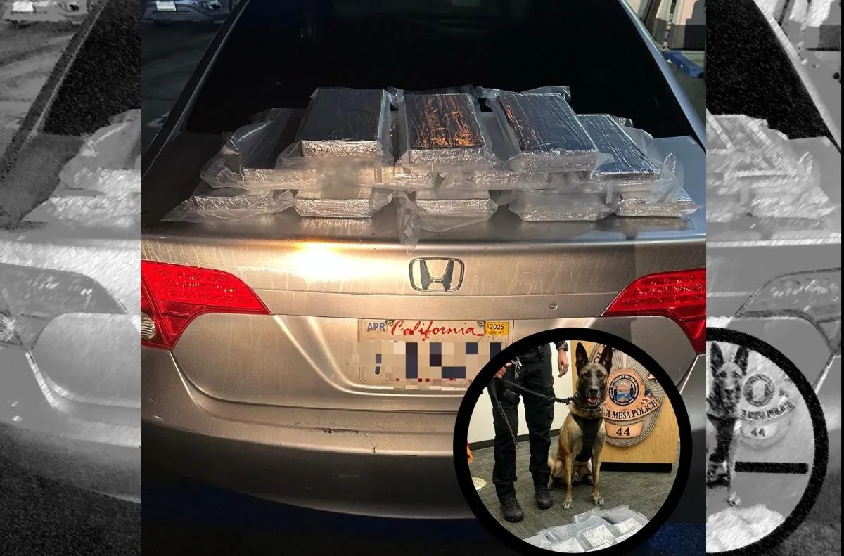 Suspect with 13 kilos of cocaine arrested after a traffic stop in Costa Mesa