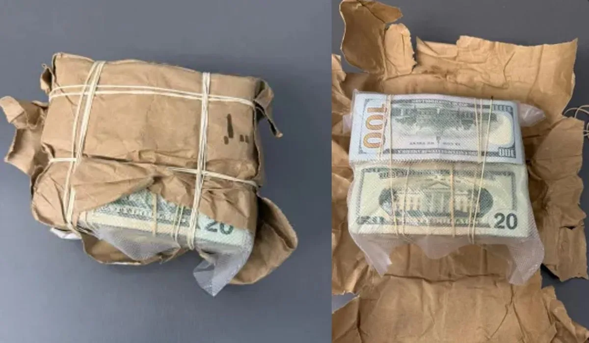 CA border protection officers seized $44k in unreported cash hidden within food bag