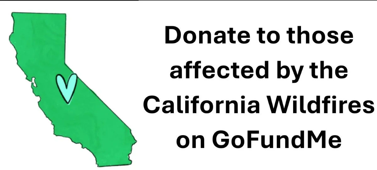 GoFundMe launches a Dedicated So CA wildfires Hub