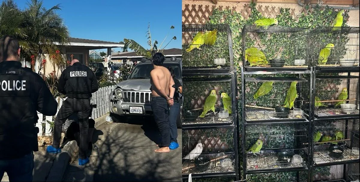 The Costa Mesa police arrested two pet hoarders and rescued hundreds of birds and dogs