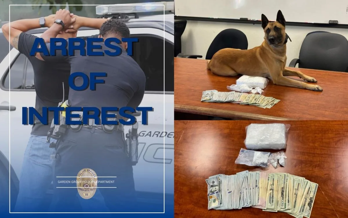 A K9 police dog found cocaine during a Garden Grove traffic stop resulting in an arrest