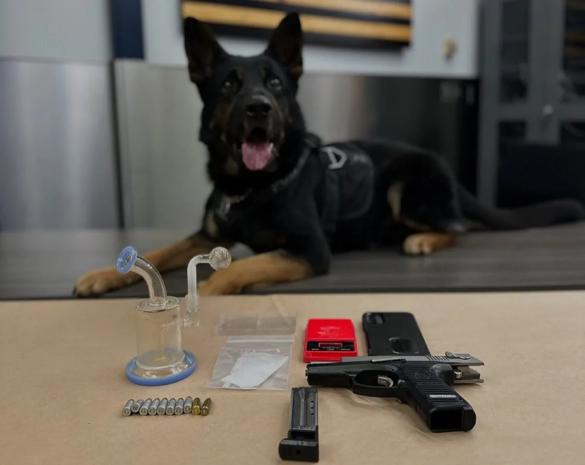 A felon was arrested after an OC K9 police dog sniffed out a meth bonanza during a traffic stop