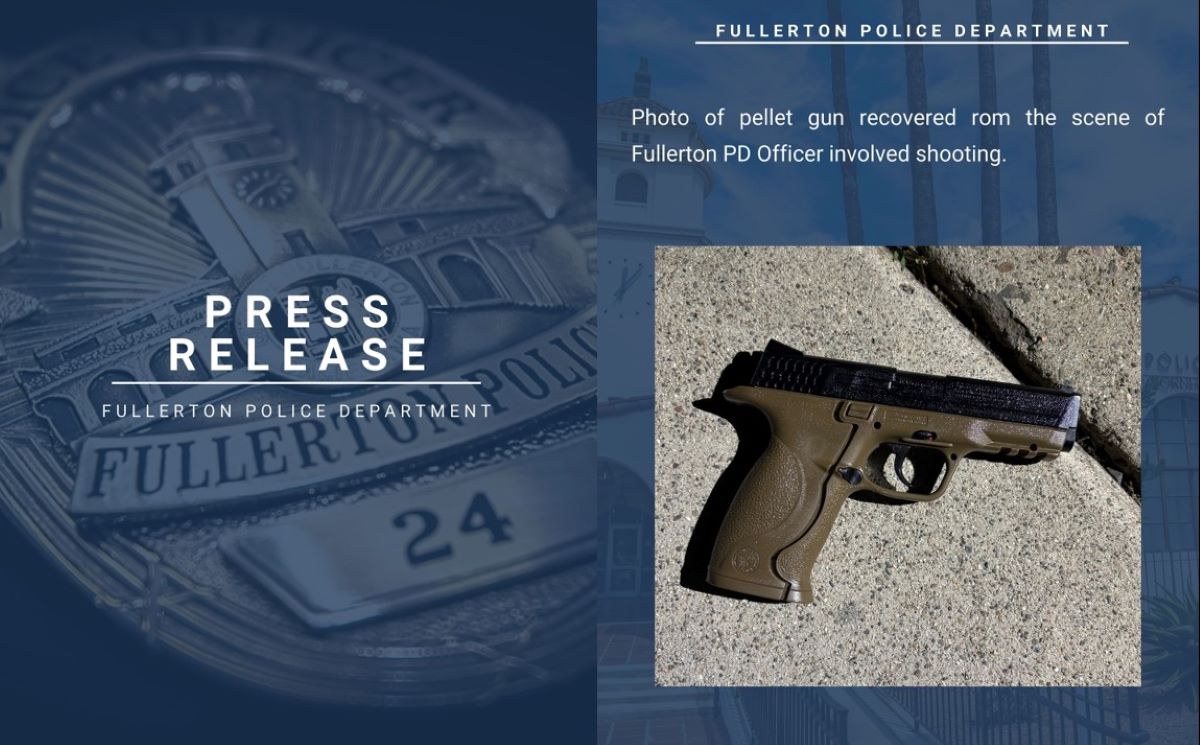 Police fatally shot a man armed with a pellet gun after a domestic ...