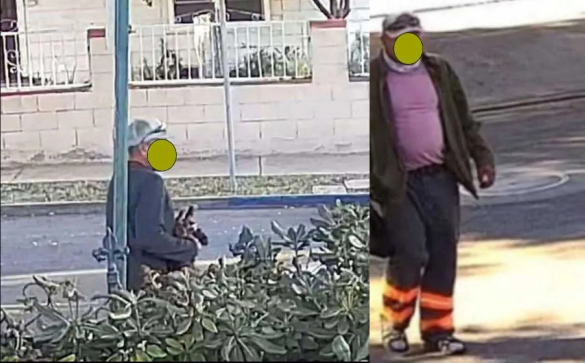 Alleged Santa Ana cat killer