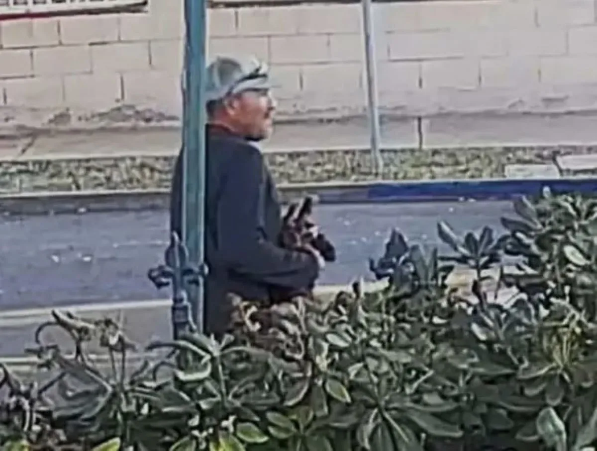 Alejandro Oliveros Acosta Charged with Felony Animal Cruelty After Luring, Torturing Cats to Deat