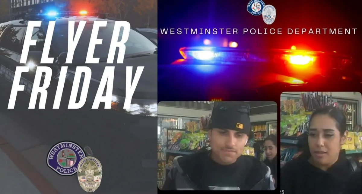 Burglary Suspects wanted by the Westminster police
