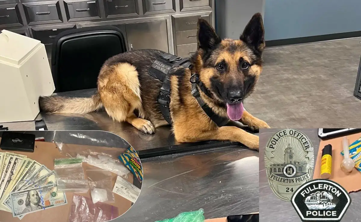 Meth dealer busted with help from a K9 police dog in north O.C. - New Santa Ana