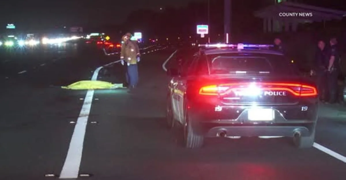 A man died after being struck by multiple vehicles on the 5 Freeway in Tustin,picture Courtesy of County News Services